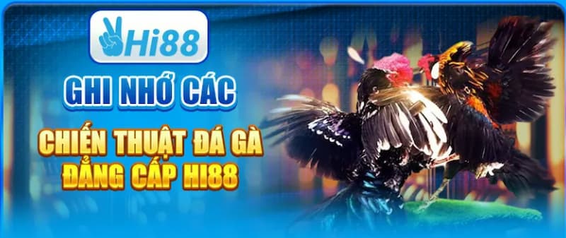 Khám Phá Lối Đá Của Gà Chọi Hi88